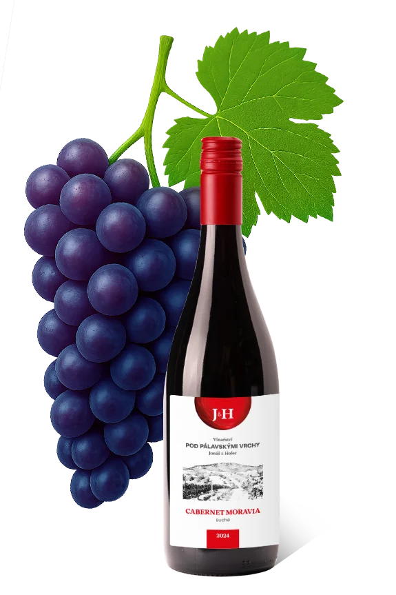 cabernet moravia
