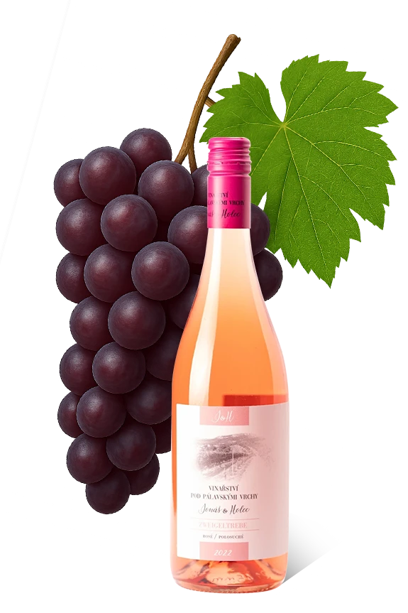 Zweigeltrebe